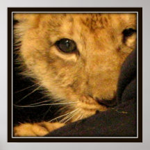 Lion Cub Print