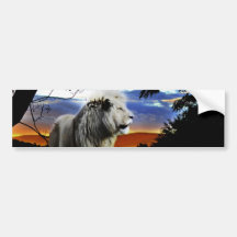 Lion in the jungle bumper stickers