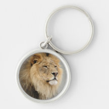 Lion Lovers King of the Jungle Key Chain