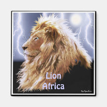 Lion of Africa Art Magnet