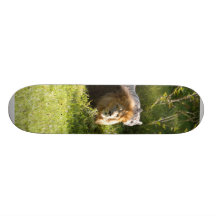 Lion & Tiger 014 Skateboard