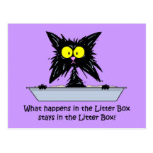 Litterbox Cat Postcard