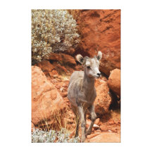 Little Big Horn Stretched Canvas Prints