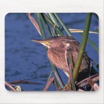 Little Bittern mousepads
