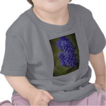 Little Blue Buds Tshirts