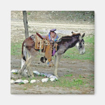 Little burro - big saddle fridge magnet