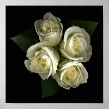 Little Gift Of Roses Poster/Fine Art Print