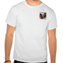 Little Girl Shoes T Shirt