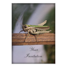 Little Green Grasshopper Party Event Personalised Announcement