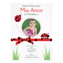 Little Lady Bug Birthday Invitation