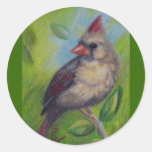 Little Miss Cardinal aceo Sticker