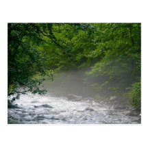 Little Pigeon River - Greenbrier- Great Smoky Mtns Postcard
