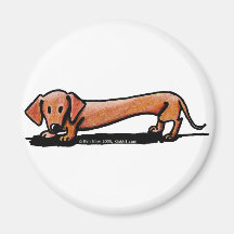 Little Red Doxie Magnet