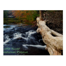 Little River Post Card