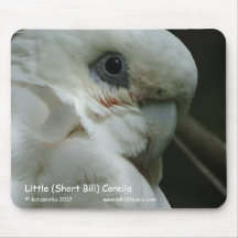 Little (Short Bill) Corella Mouse Pads