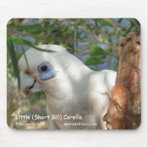 Little (Short Bill) Corella Mousepads