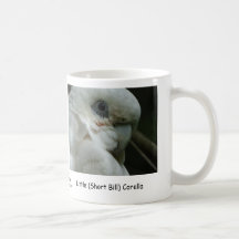 Little (Short Bill) Corella Mugs