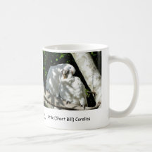 Little (Short Bill) Corellas Coffee Mugs
