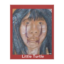 Little Turtle Stretched Canvas Prints