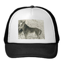 little wild Mustang.jpg Trucker Hats