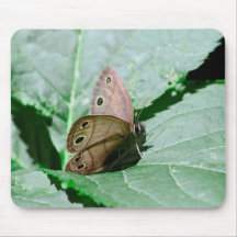 Little Wood Satyr (Megisto cymela) Mouse Pads
