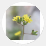 Little Yellow Flower #4 Round Stickers