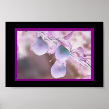 LittlePearTree Poster