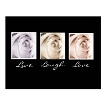 Live, Laugh,Love 3 roses postcard