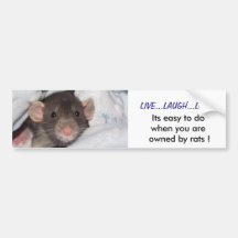 Live,Laugh,Love Bumper Sticker