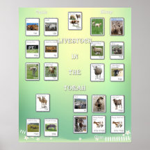 Livestock animals in the Bible Poster
