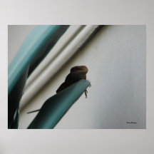 Lizard Lick, Dane-Designs Poster