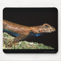 lizard mousepads