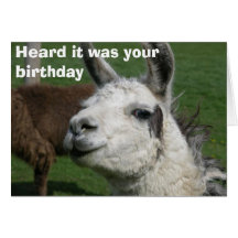 Llama birthday card