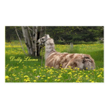 Llama Business Cards