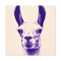 Llama Canvas Print