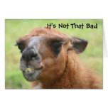 Llama Humourous 30th Birthday Greeting Card
