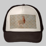 Llama Plaid Lid hats