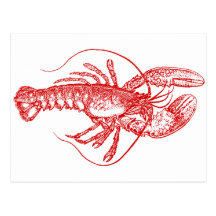 Lobster Post Cards