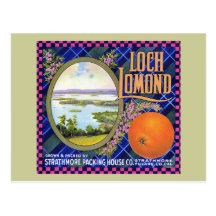 Loch Lomond Orange Flower Post Card