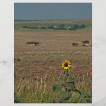 Logan County Horses Full Color Flyer