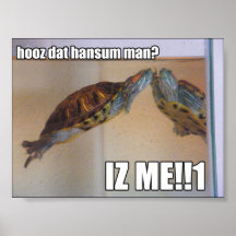 LOLturtle - hansum man Poster
