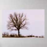 Lone tree print