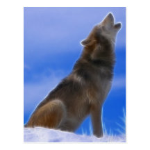 Lonely Howling Endangered Grey Wolf Post Cards