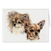 Long and smooth coat chihuahuas card