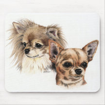 Long and smooth coat chihuahuas mouse mats