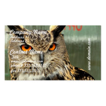 Long Eared Owl Business Card