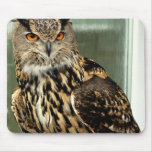 Long Eared Owl Mouse Pad
