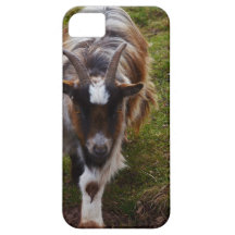 Long Haired Goat. iPhone 5 Cases