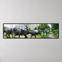 long horns of Dallas TX Poster