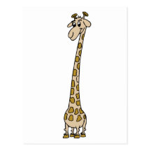 Long Necked Giraffe Post Cards